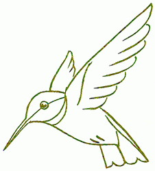 hummingbird-4_250