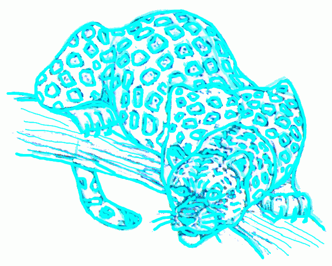 jaguar-8_656_01