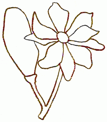 magnolia_4_250