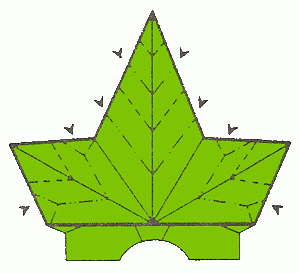 maple-leaf-14_300_01