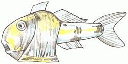 marine_hatchetfish_6_250