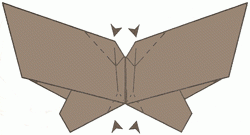 moth-13_250