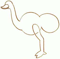 ostrich-3_250_01