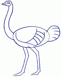 ostrich-3_250_03