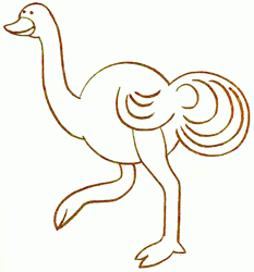 ostrich-4_250_01