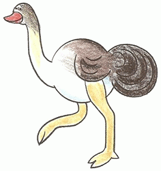 ostrich-5_250_01
