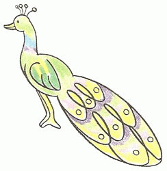 peacock-5_250