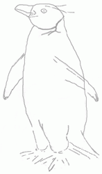 penguin-3_250