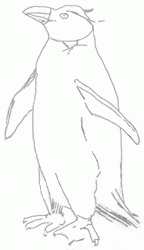 penguin-4_250