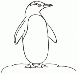penguin-4_250_01