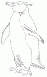 penguin-5_250