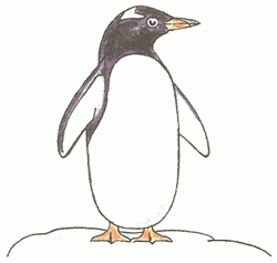 penguin-5_250_01