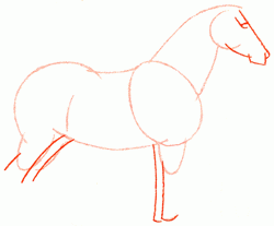 percheron-horse-3_250