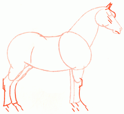 percheron-horse-4_250
