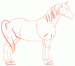 percheron-horse-5_250