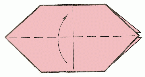 pig-8_505