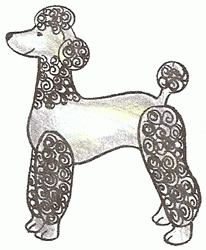 poodle-5_250