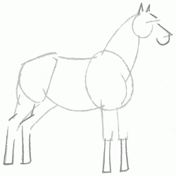 saddle-horse-4_250