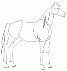 saddle-horse-5_250