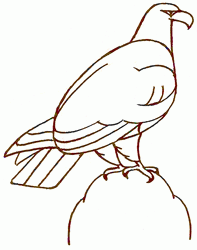 sea-eagle-4_250