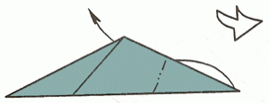 shark-10_300 shark-10_300