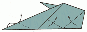 shark-11_300 shark-11_300