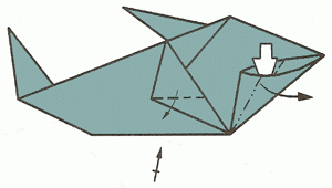 shark-12_300 shark-12_300