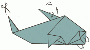 shark-13_300_01 shark-13_300_01