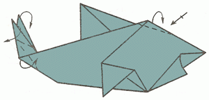 shark-15_300 shark-15_300
