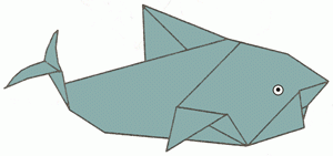 shark-16_300