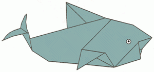 shark-16_300 shark-16_300