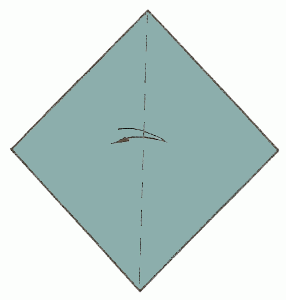 shark-1_300 shark-1_300