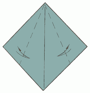 shark-2_300 shark-2_300
