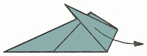 shark-9_300 shark-9_300