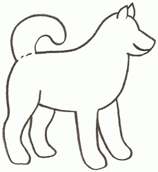 siberian-husky-3_250