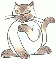 Exam Guide Online - How to Draw a Sitting Cat.