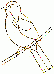 sparrow-3_250