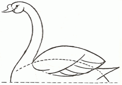 swan-3_250_01