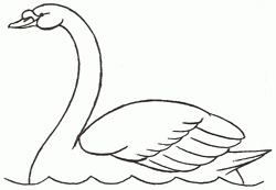 swan-4_250_01
