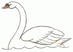 swan-5_250_01