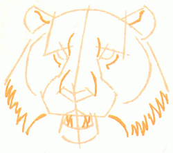 tigers-head-6_250