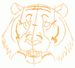 tigers-head-7_250