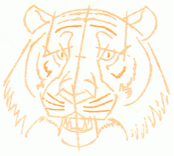 tigers-head-8_250