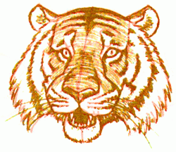 tigers-head-9_250