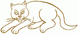 tired-cat-4_250