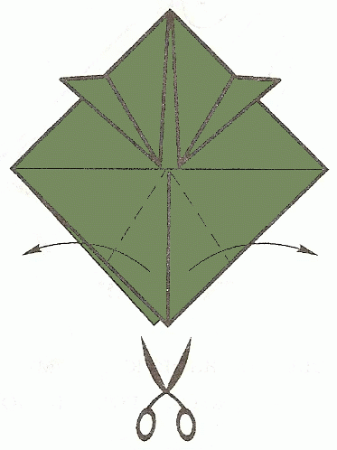 turtle-6_498 turtle-6_498