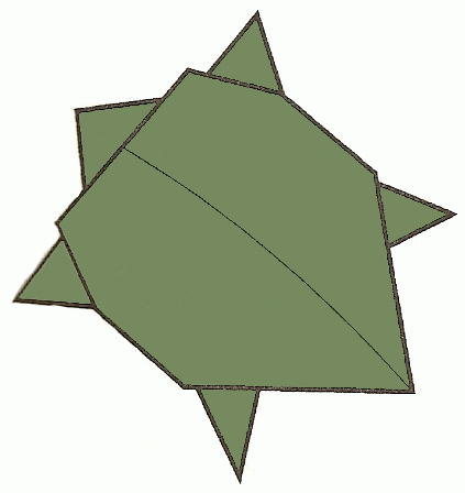 turtle-9_448_01 turtle-9_448_01