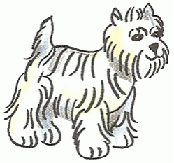 west-highland-white-terrier-5_250