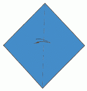 whale-1_300 whale-1_300
