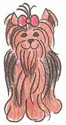 yorkshire-terrier-4_250